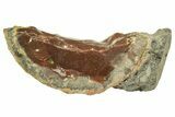 Ethiopian Chocolate Opal Nodule - Yita Ridge #211264-1